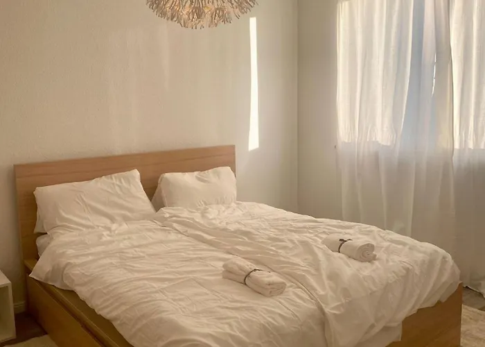 Apartment Zentrales Neues